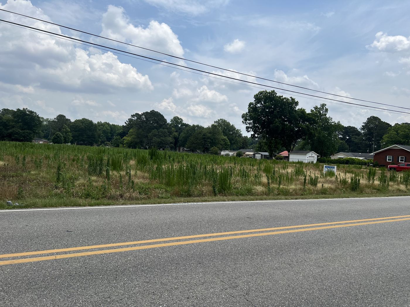 Overgrown vacant lot before cutting, weeds shoulder high